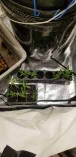 20210217_121041.jpg 20210217_121041.jpg