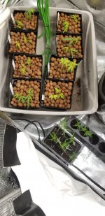 20210217_121047.jpg 20210217_121047.jpg