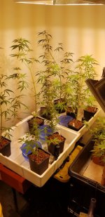 20210217_121110.jpg 20210217_121110.jpg