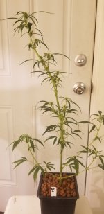 20210216_120645.jpg 20210216_120645.jpg