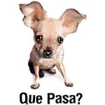 1613598078126.png