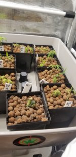 20210220_123430.jpg 20210220_123430.jpg