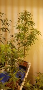 20210220_124445.jpg 20210220_124445.jpg