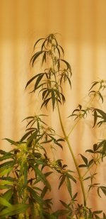 20210220_122312.jpg 20210220_122312.jpg