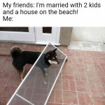 video_image--wopPTjB_.jpg