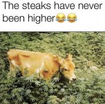 29BF8004-2DF9-48B9-9C99-76DB0404E1FE.jpeg