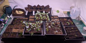 PXL_20210222_203726154.jpg PXL_20210222_203726154.jpg