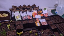 PXL_20210223_230912297.jpg PXL_20210223_230912297.jpg