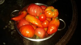 maters.jpg maters.jpg