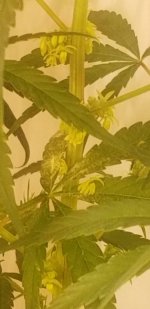 20210224_103724.jpg 20210224_103724.jpg