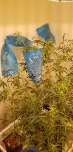 20210226_114500.jpg 20210226_114500.jpg