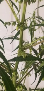 20210226_114832.jpg 20210226_114832.jpg