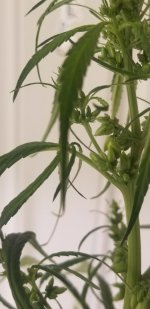 20210226_114913.jpg 20210226_114913.jpg