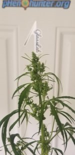 20210226_114853.jpg 20210226_114853.jpg