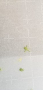 20210226_120541.jpg 20210226_120541.jpg