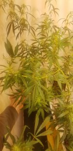 20210225_111740.jpg 20210225_111740.jpg