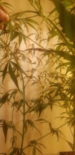 20210225_112043.jpg 20210225_112043.jpg