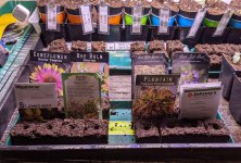 PXL_20210304_000622008.jpg PXL_20210304_000622008.jpg