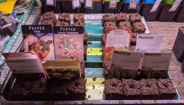 PXL_20210304_001005915.jpg PXL_20210304_001005915.jpg