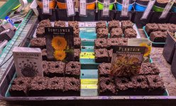 PXL_20210304_001216905.jpg PXL_20210304_001216905.jpg