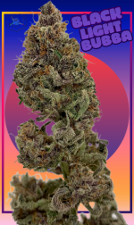 9CE0E77A-AE70-4679-9524-3D42E37366AB.png
