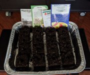 PXL_20210304_224819595.jpg PXL_20210304_224819595.jpg