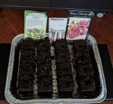 PXL_20210304_230222579.jpg PXL_20210304_230222579.jpg