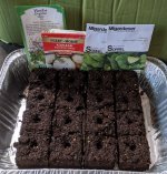 PXL_20210304_232725220.jpg PXL_20210304_232725220.jpg