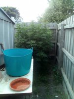 IMG_20210302_171309.jpg