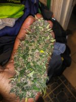 IMG_20210304_215504_DRO.jpg