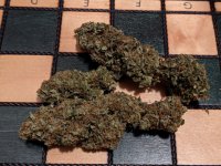tw_3_6_2021nugs.jpg