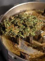 tw_3_6_2021nug.jpg