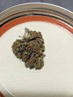 sp_3_6_2021nug.jpg