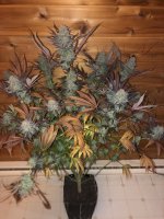 04498148-879A-495C-B9D9-285B844A5EF0.jpeg 04498148-879A-495C-B9D9-285B844A5EF0.jpeg