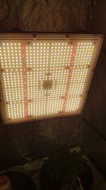 20210306_173602.jpg 20210306_173602.jpg