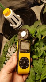 20210306_173907.jpg 20210306_173907.jpg