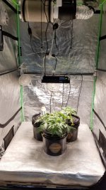 20210306_173403.jpg 20210306_173403.jpg