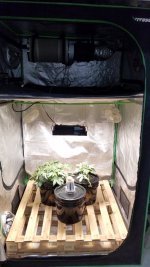 20210306_211242.jpg 20210306_211242.jpg