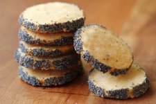 sized__MG_0380.jpg sized__MG_0380.jpg