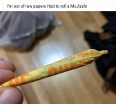 D873359C-0ED1-401F-BBC3-F3277A2BD3E8.jpeg