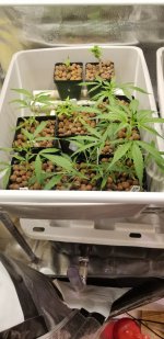 20210318_211808.jpg 20210318_211808.jpg