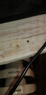 20210319_210026.jpg 20210319_210026.jpg