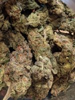 pre98_bubba_2wk1daycure_jar.jpg