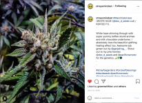 Screen Shot 2021-03-23 at 9.34.47 PM.png