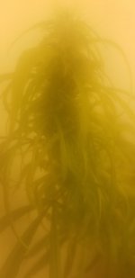 20210328_103842.jpg 20210328_103842.jpg