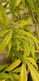 20210328_192616.jpg 20210328_192616.jpg