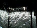 IMG_20200409_135203.jpg