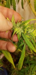 20210331_203010.jpg 20210331_203010.jpg