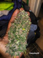 IMG_20210304_215504_DRO.jpg