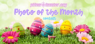 april potm logo.jpg